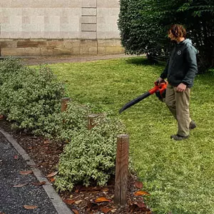 Nettoyage de jardin