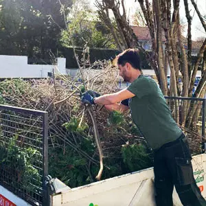 Évacuation déchets de jardin