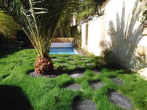 Jardin paysagé - Pelouse en rouleau